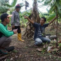 Workshop agroforestry-Kapuas Hulu 2017